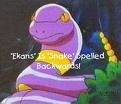 Ekans